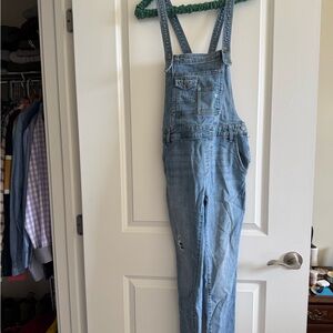 Free People Blue Denim Overalls